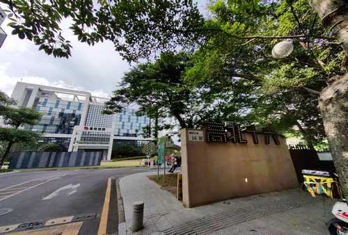 福建销售魔芋烘干机多少钱